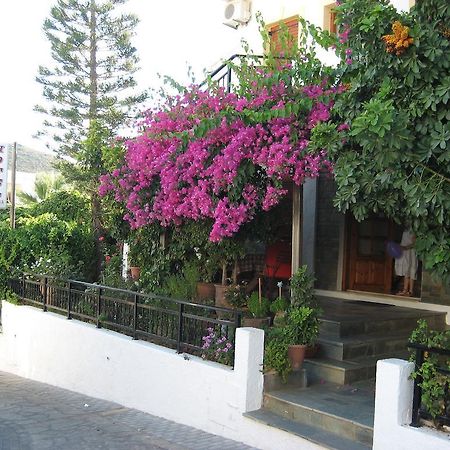 Thalia Hotel Palekastro Exterior foto